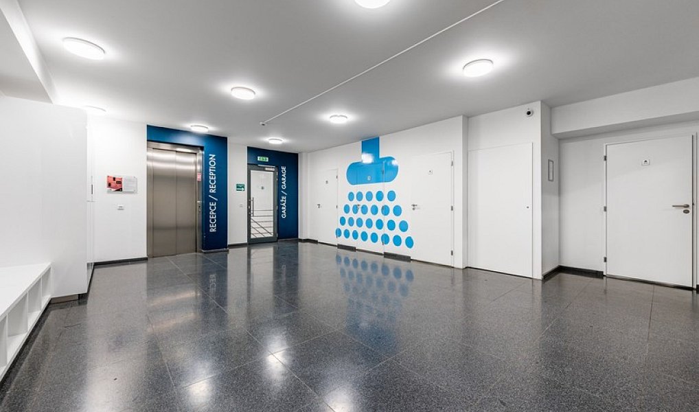 Pronájem kanceláře 500 m², Praha – náhled fotky 13