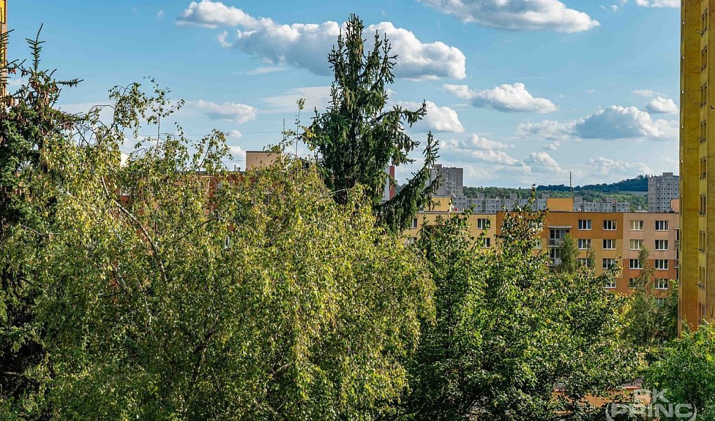 Prodej bytu 1+1 46 m², Praha – náhled fotky 20