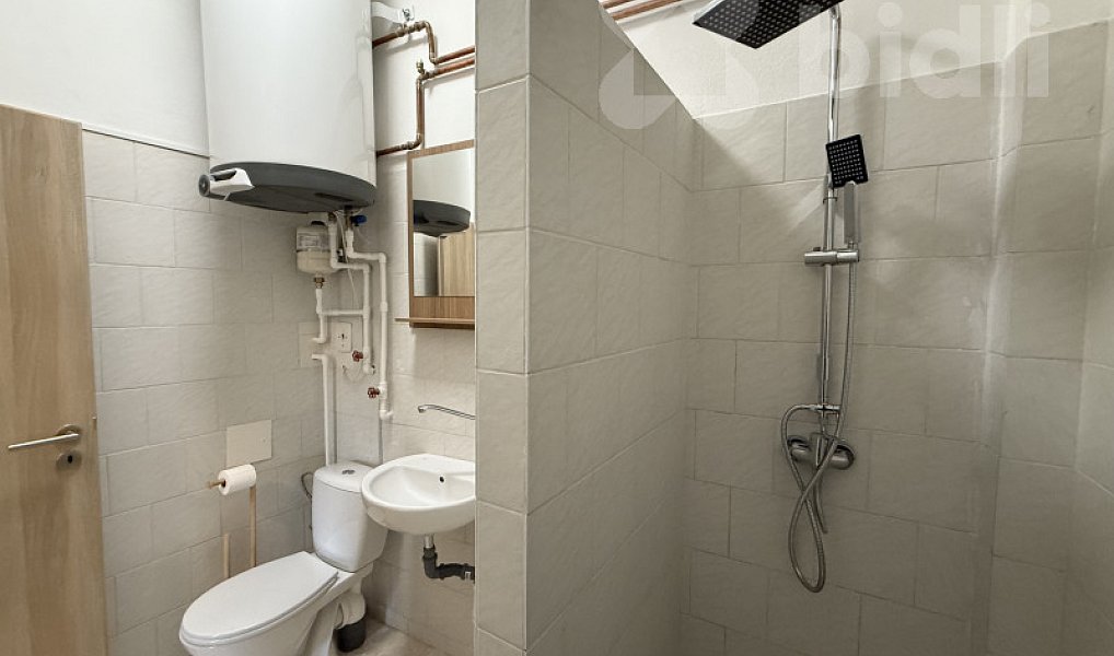 Pronájem bytu 1+1 44 m², Nový Bydžov – náhled fotky 9
