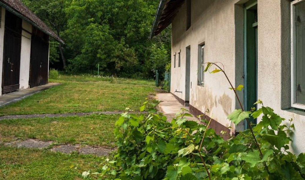 Prodej domu 70 m² s pozemkem 1 940 m², Nová Ves – náhled fotky 18