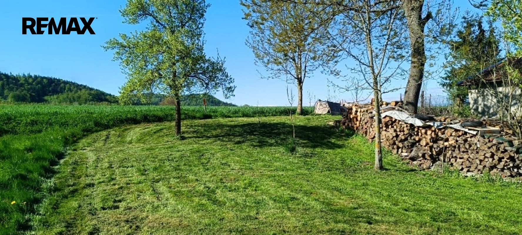 Fotka 15 z 16