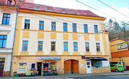 Prodej bytu 4+1 87 m², U Hadích lázní, Teplice