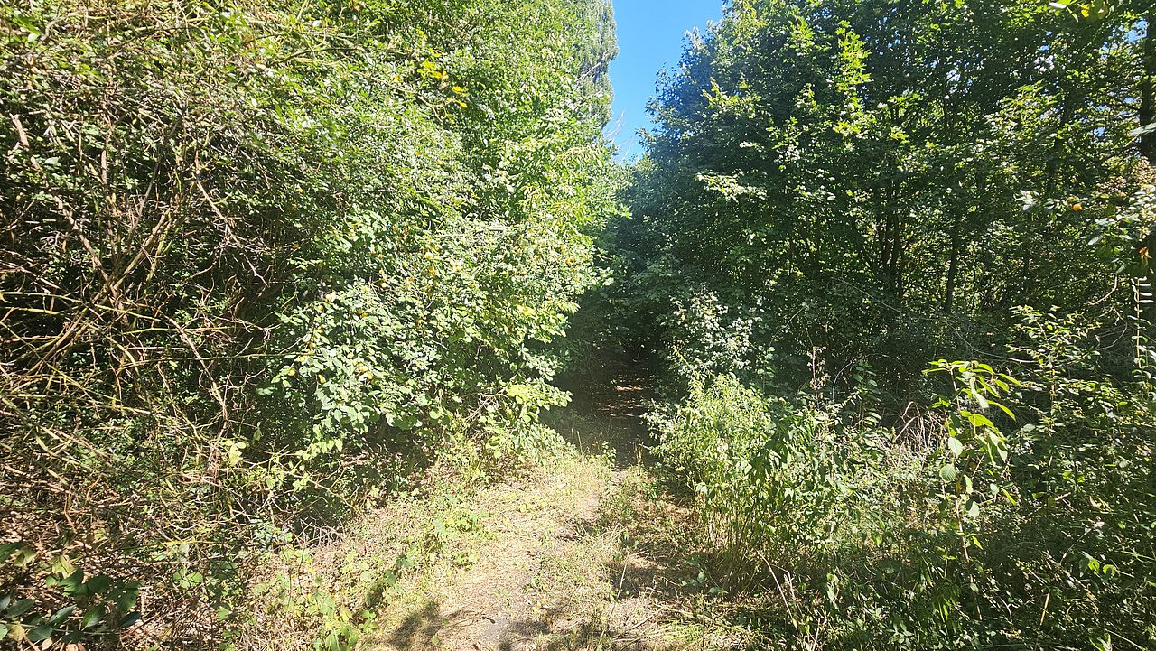 Fotka 10 z 17