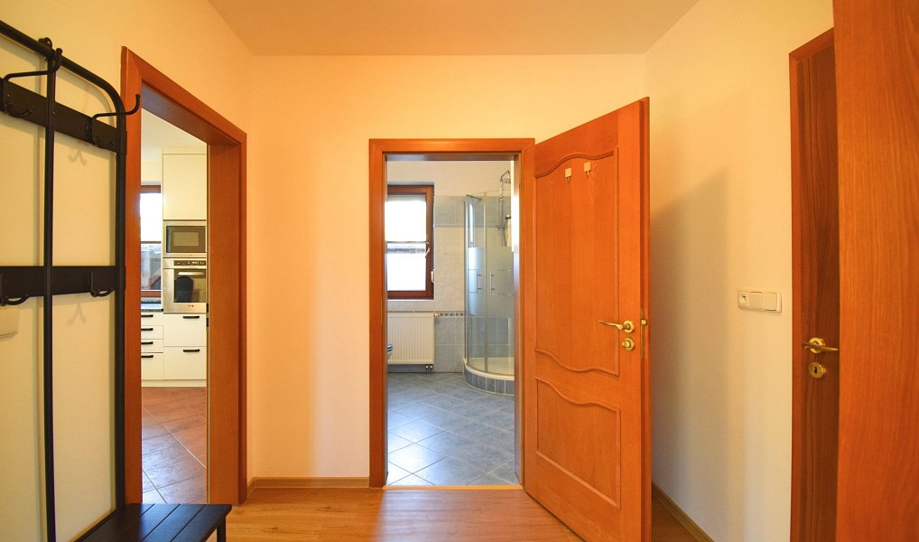 Pronájem domu 250 m² s pozemkem 775 m², Plzeň – náhled fotky 13