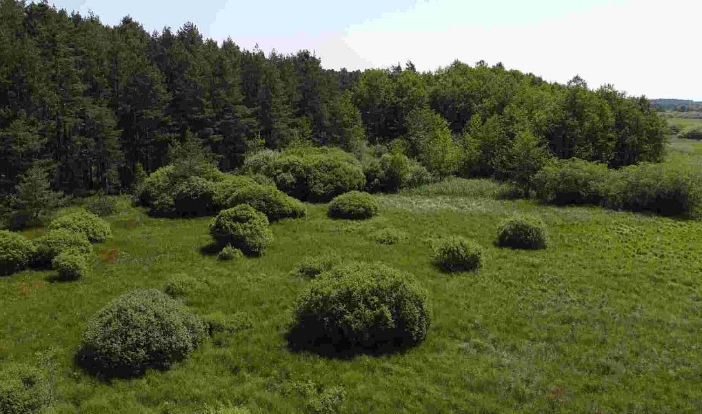 Prodej pozemku 20 535 m², Jílovice – náhled fotky 3
