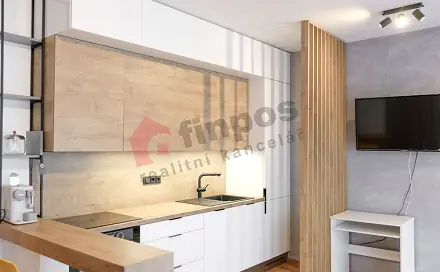 Pronájem bytu 1+kk 34 m², U průhonu, Praha 7 - Holešovice