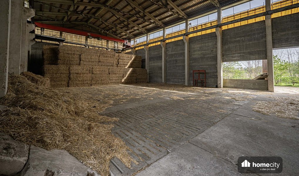 Prodej zemědělského objektu 38 087 m², Sovolusky – náhled fotky 16