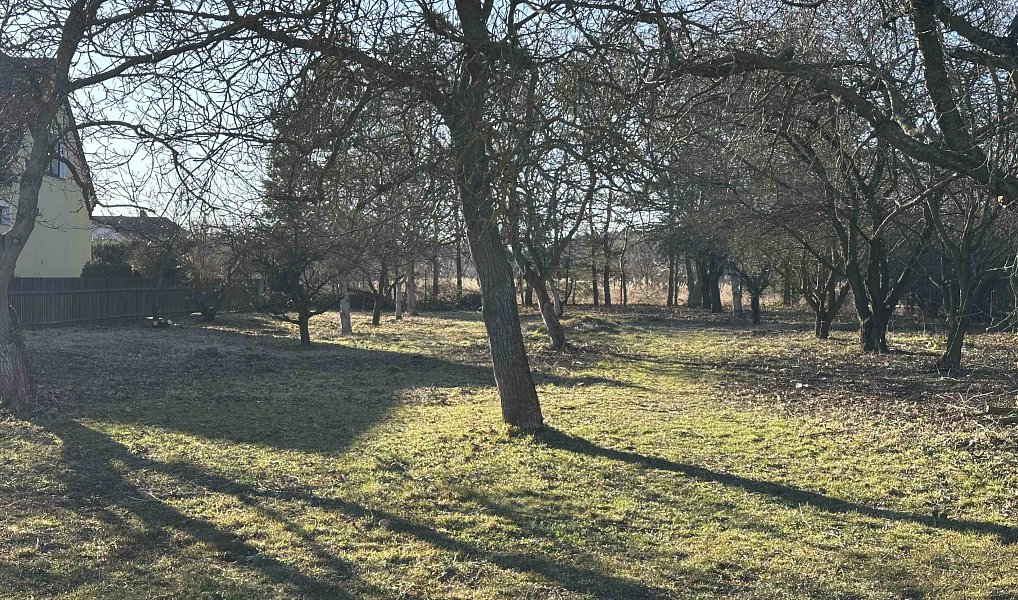 Prodej stavebního pozemku 1 472 m², Pičín – náhled fotky 8