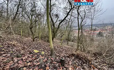 Prodej stavebního pozemku 1 101 m², Bílina, okres Teplice