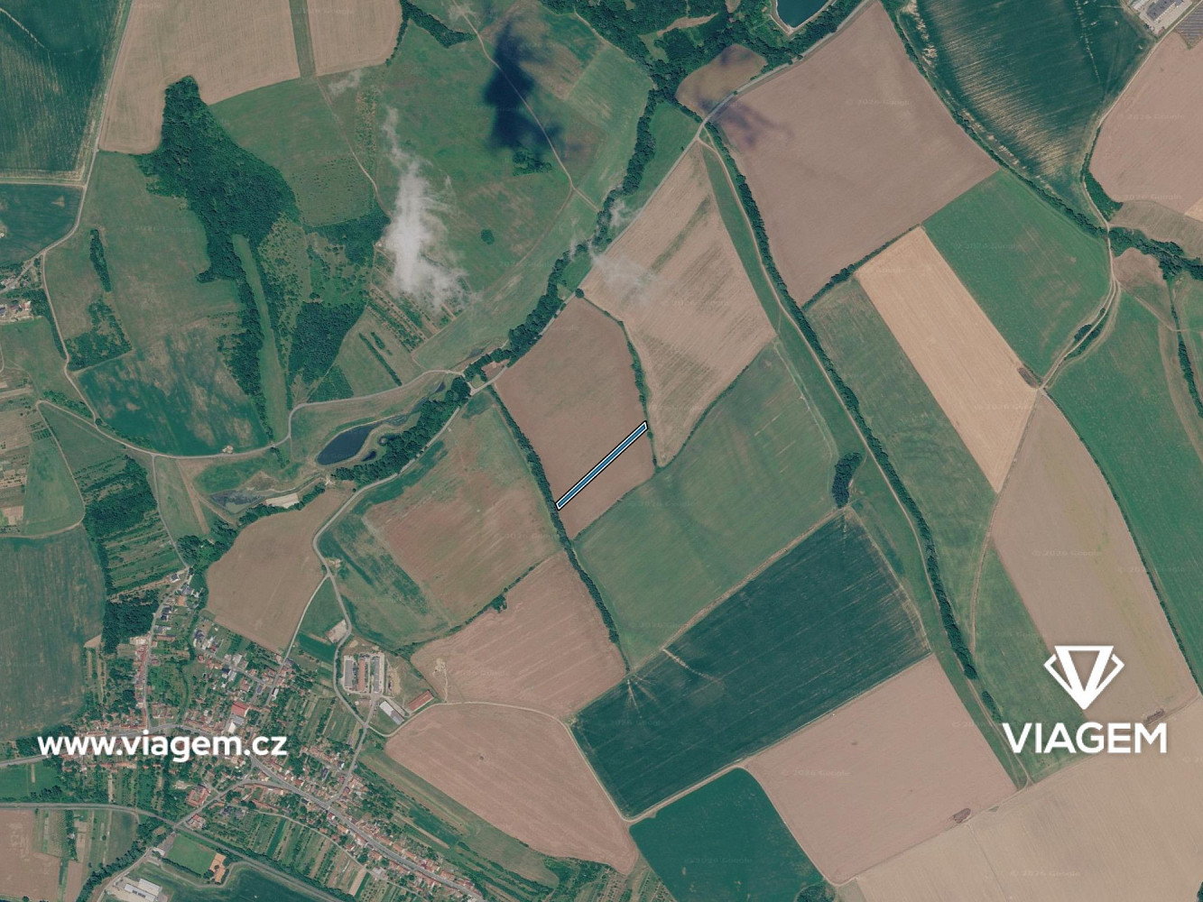 Prodej pole 3 500 m² – fotografie 3