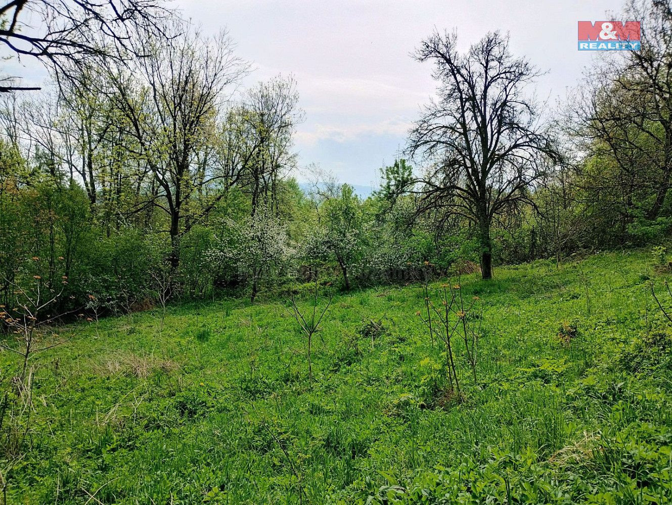 Prodej chaty/chalupy 38 m² s pozemkem 2 730 m² — photo 2