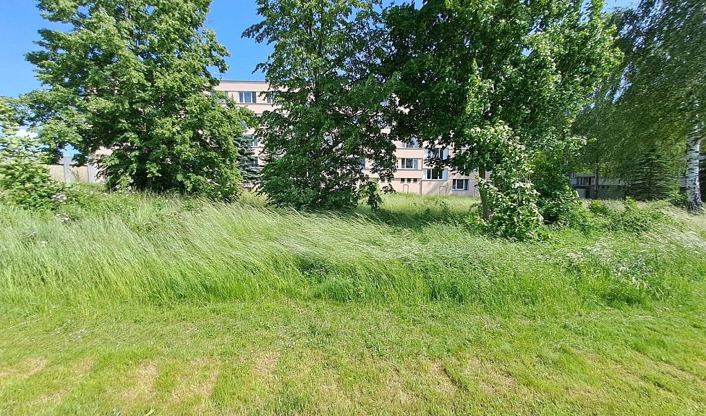 Prodej komerčního pozemku 2 803 m², Veselí nad Lužnicí – náhled fotky 8