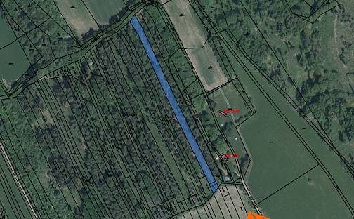 Prodej lesa 3 944 m², Bojkovice, okres Uherské Hradiště
