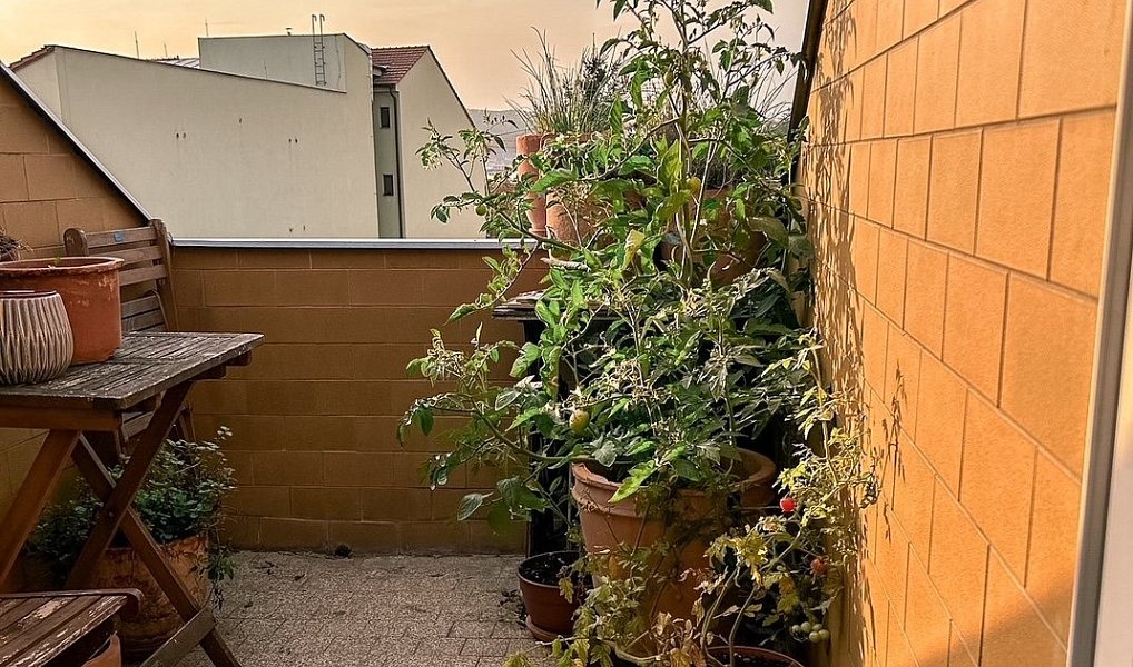 Pronájem bytu 3+kk 62 m², Brno – náhled fotky 11