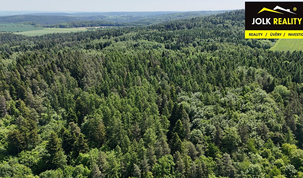 Prodej lesa 13 182 m², Vršovice – náhled fotky 5
