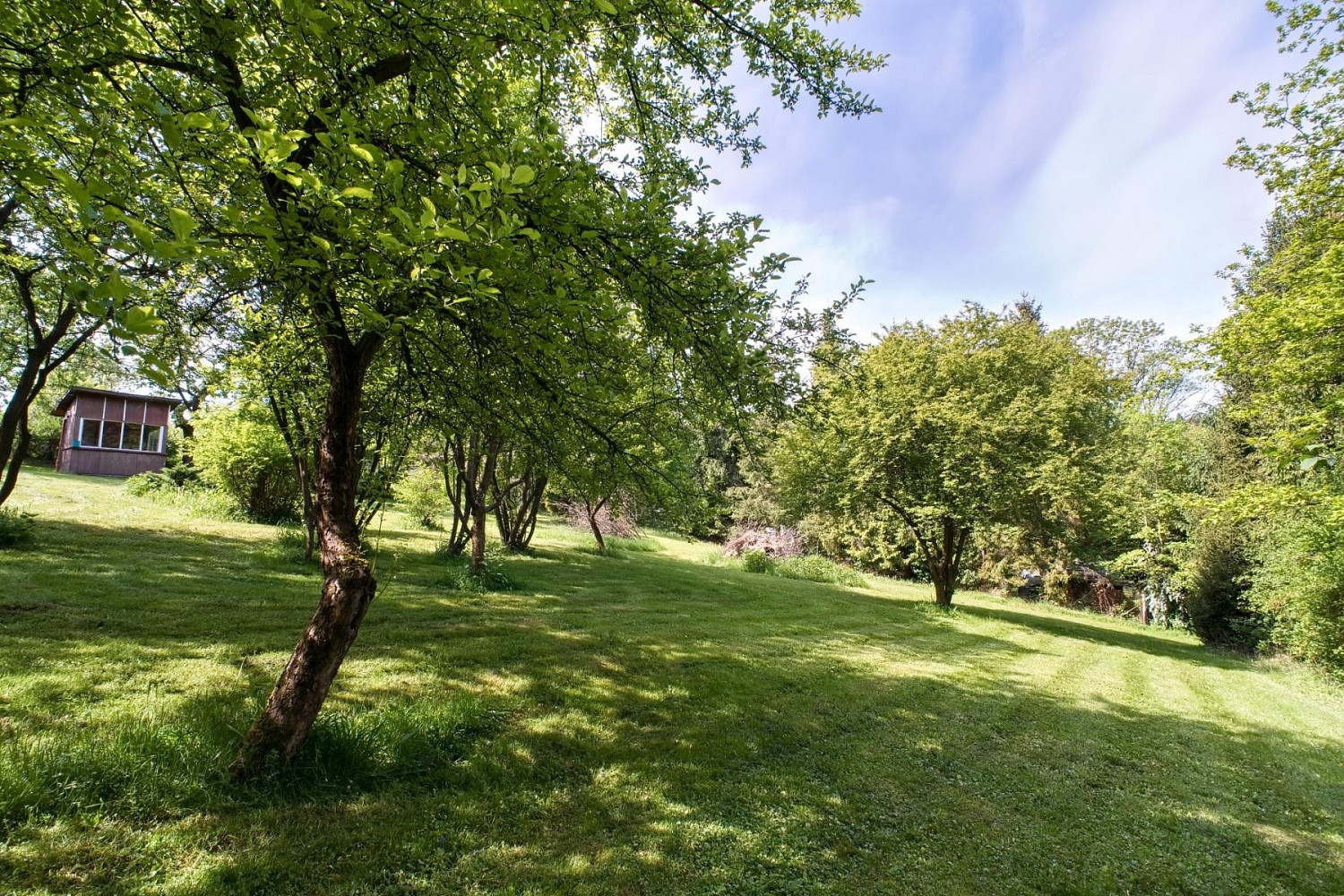 Prodej chaty/chalupy 9 m² s pozemkem 1 546 m² — photo 2