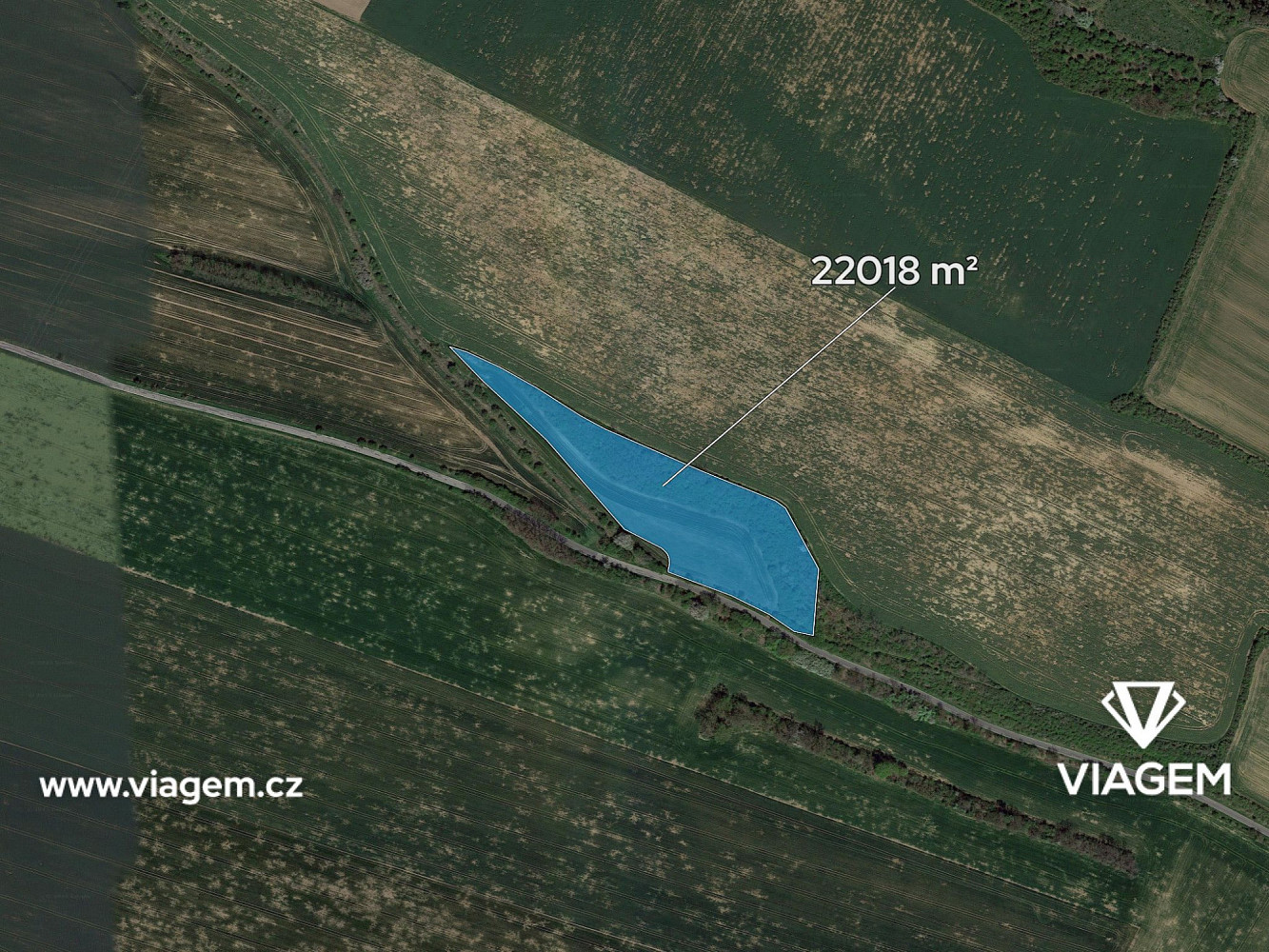 Prodej pole 3 669 m² – fotografie 2