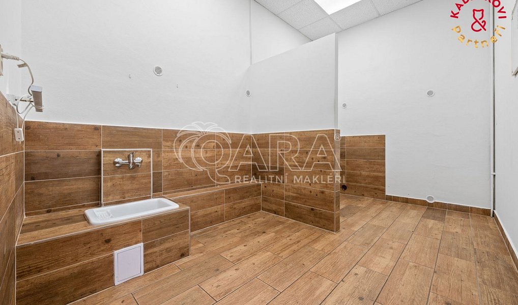 Prodej obchodních prostor 326 m², Brno – náhled fotky 11