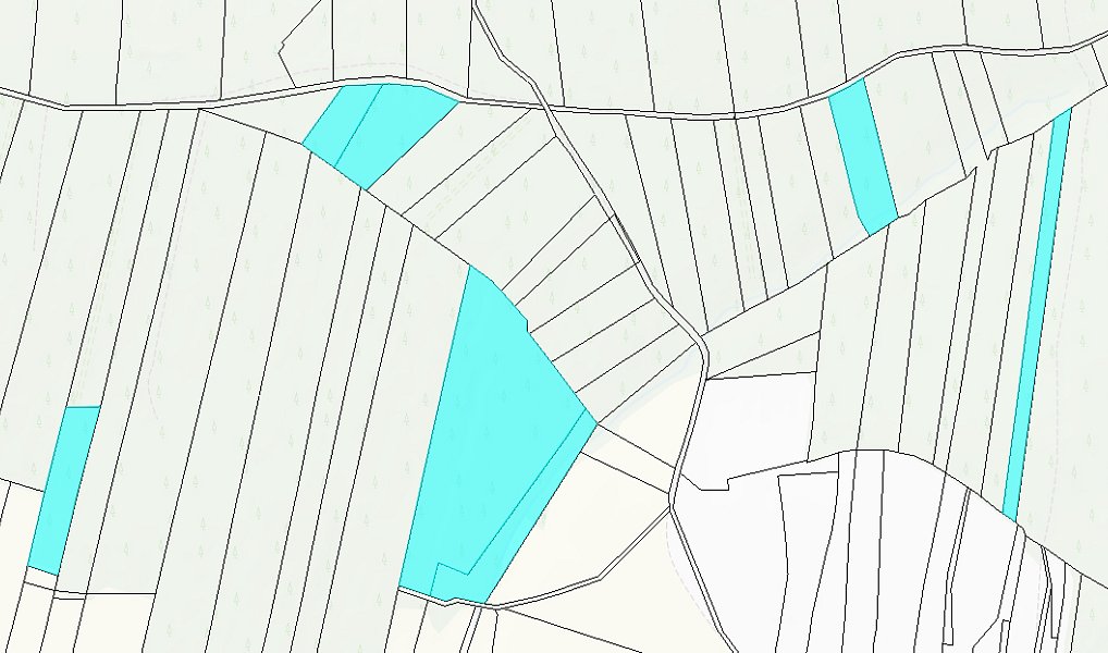 Prodej lesa 309 882 m², Jetětice – náhled fotky 3