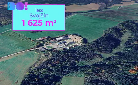 Prodej lesa 1 625 m², Svojšín, okres Tachov