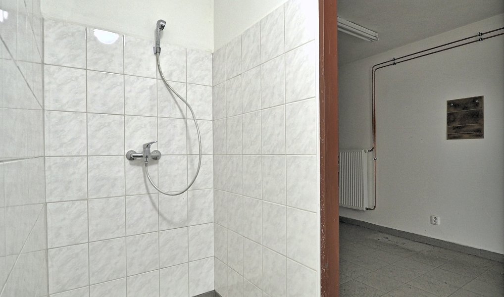 Pronájem obchodních prostor 250 m², Domažlice – náhled fotky 8