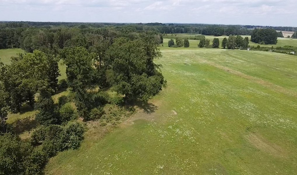 Prodej pole 130 000 m², Chlum u Třeboně – náhled fotky 6