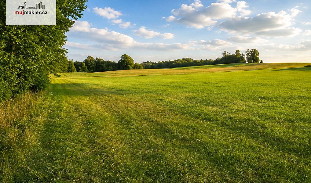 Prodej stavebního pozemku 2 845 m², Žirovnice – náhled fotky 3