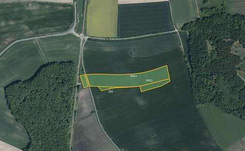 Prodej pole 19 275 m², Očelice, okres Rychnov nad Kněžnou