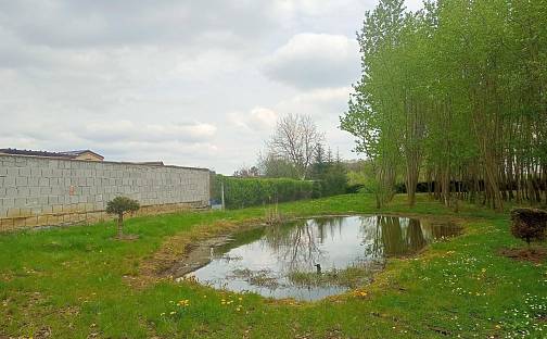 Prodej stavebního pozemku 4 697 m², Polní, Otvice, okres Chomutov