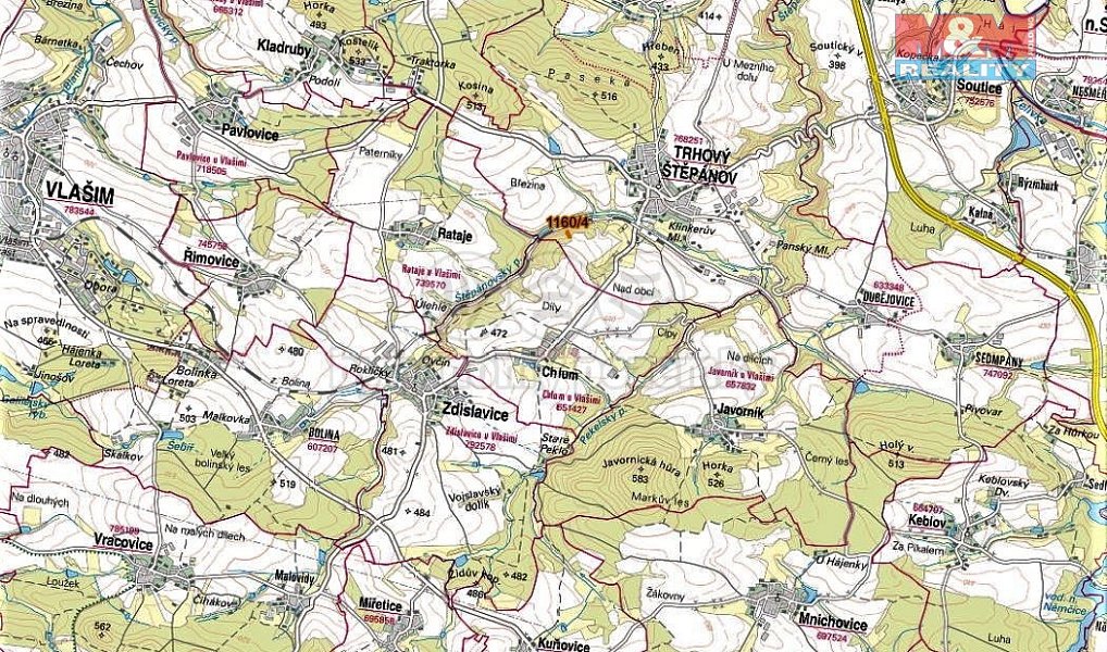 Prodej lesa 1 133 m², Trhový Štěpánov – náhled fotky 5