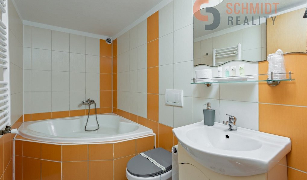 Prodej domu 450 m² s pozemkem 637 m², Podivín – náhled fotky 19