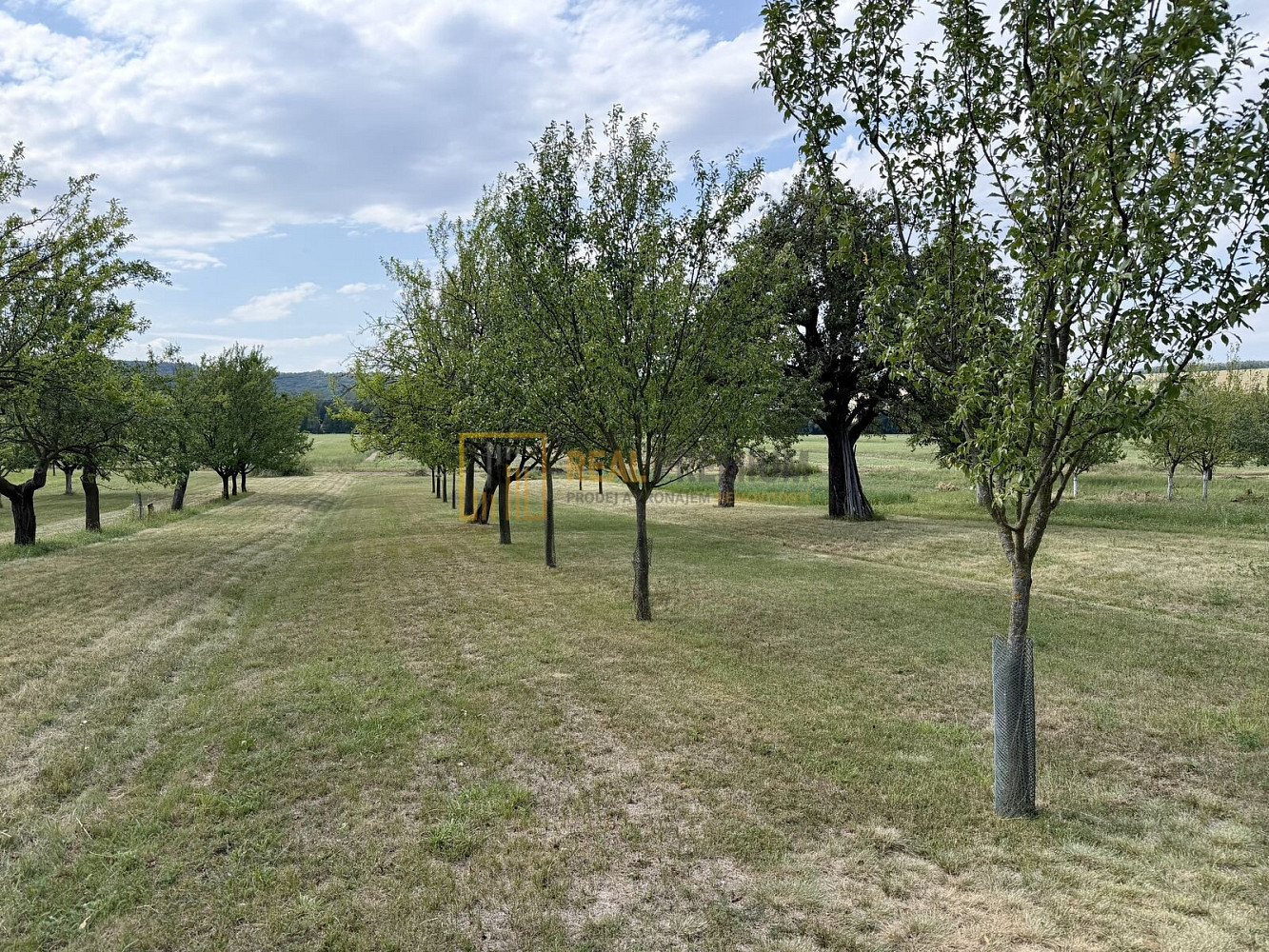 Prodej pole 8 142 m²