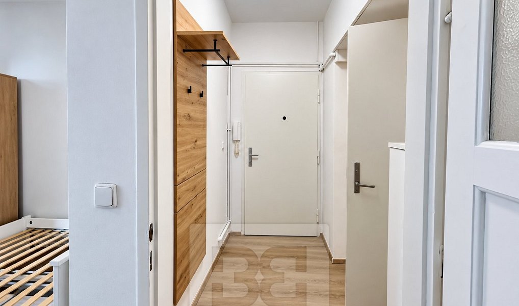 Pronájem bytu 1+kk 27 m², Praha – náhled fotky 10