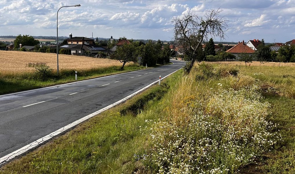 Prodej stavebního pozemku 4 468 m², Velká Bíteš – náhled fotky 2