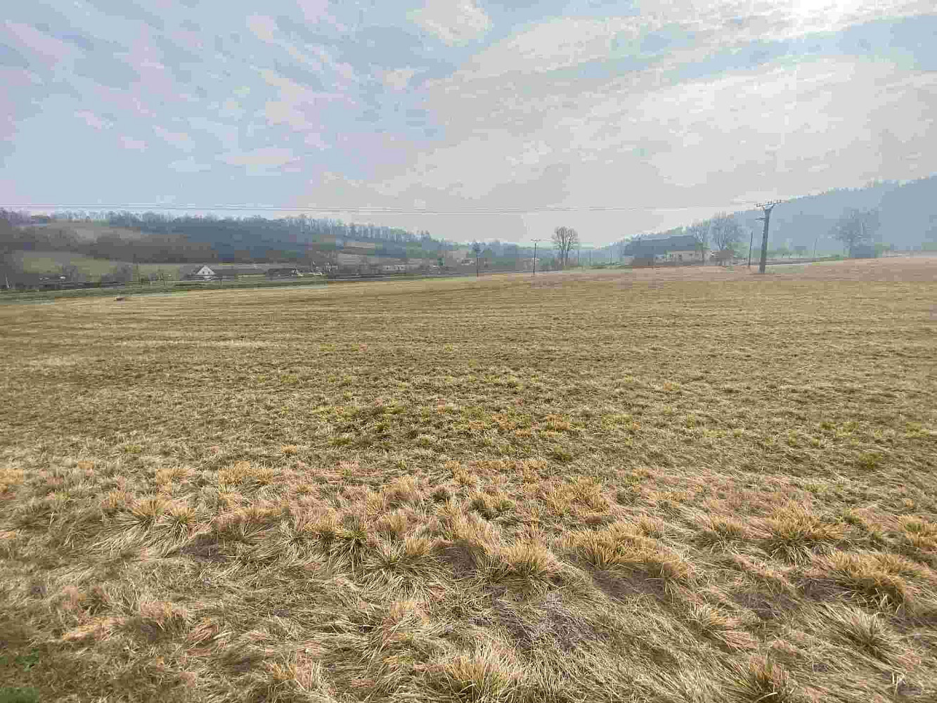 Prodej pozemku 15 629 m² – fotografie 2