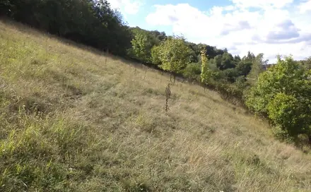 Dražba louky 806 m², Řehlovice