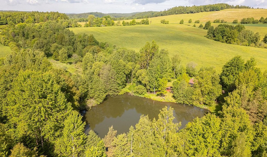 Prodej pole 54 868 m², Krajková – náhled fotky 18