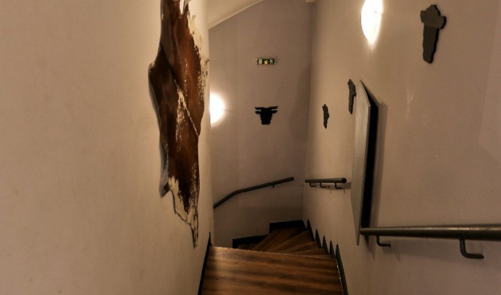 Prodej obchodních prostor 890 m², Olomouc – náhled fotky 17