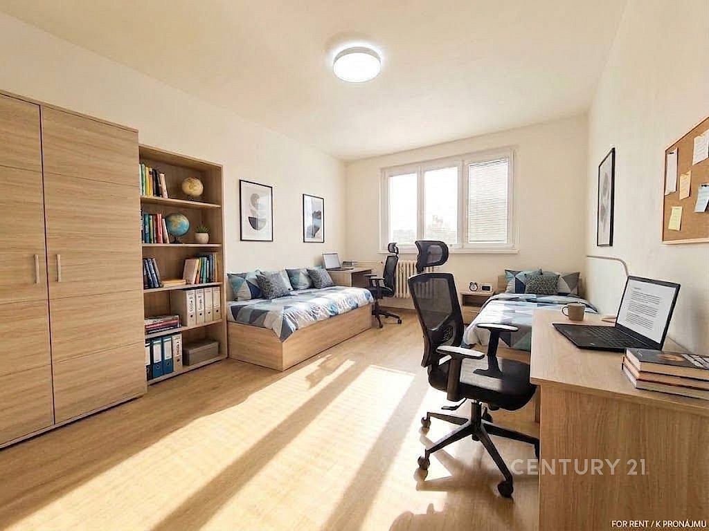 3+1 Apartment in Brno, Štýřice - View 2