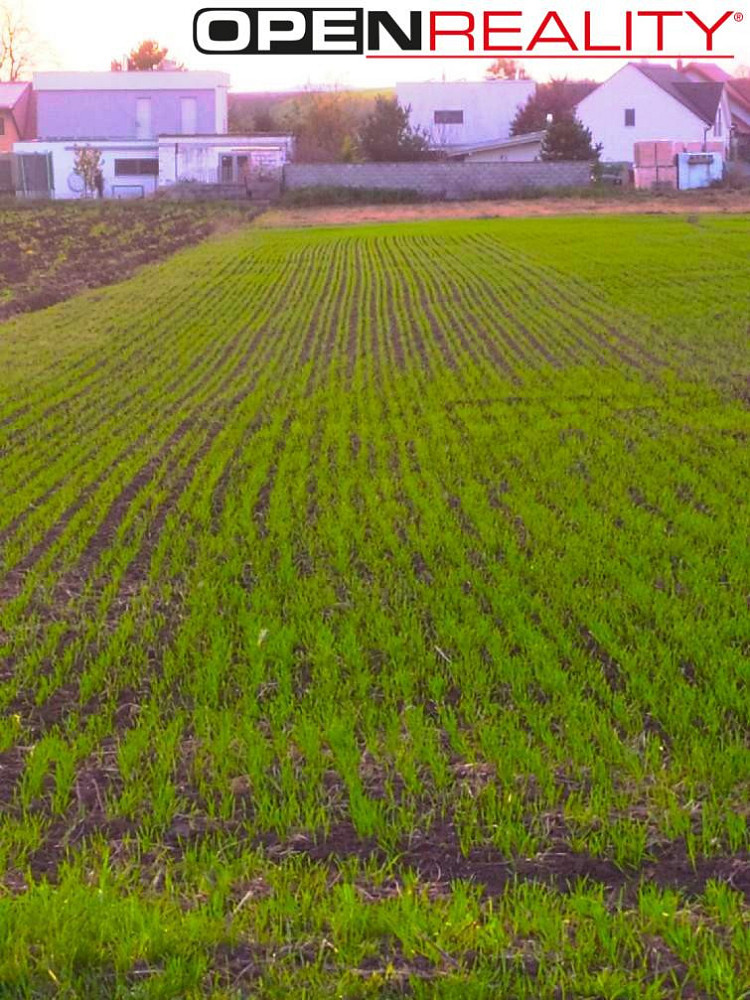 Prodej pole 1 458 m² – fotografie 2