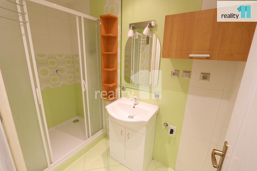 Pronájem bytu 2+1 47 m² — photo 4