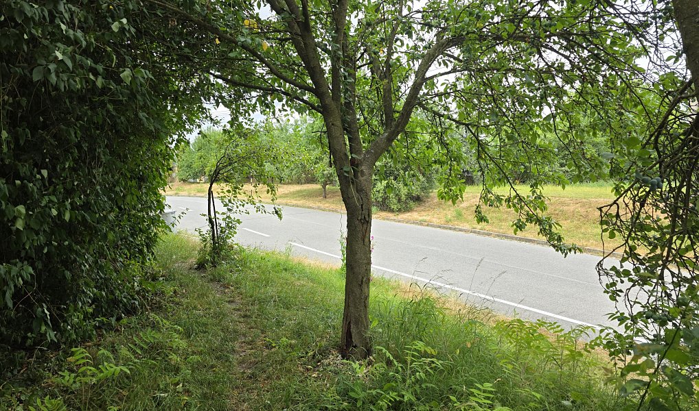 Prodej stavebního pozemku 655 m², Velké Opatovice – náhled fotky 37