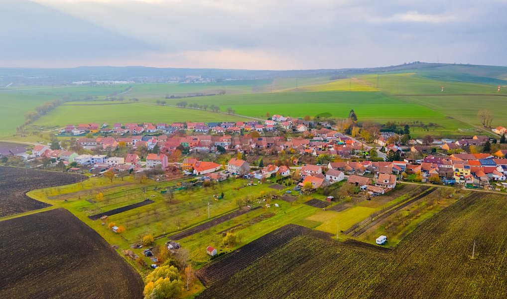 Prodej zahrady 2 177 m², Němčany – náhled fotky 8