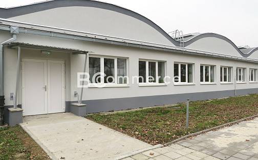 Pronájem skladovacích prostor 1 100 m², Holubice, okres Vyškov