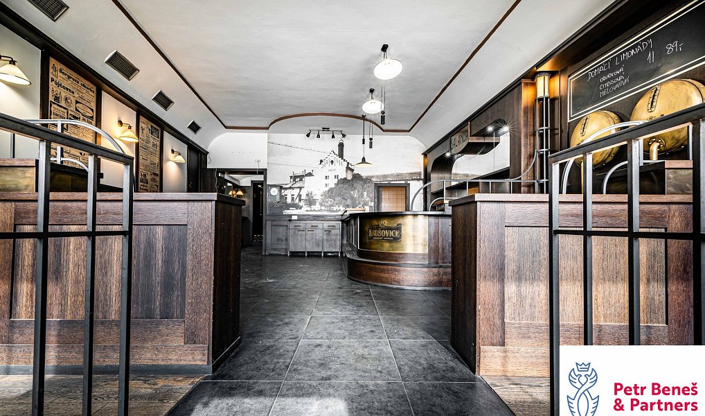 Prodej obchodních prostor 1 100 m², Rakovník – náhled fotky 14