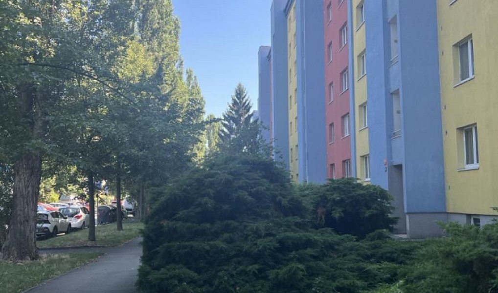 Prodej bytu 2+1 53 m², Praha – náhled fotky 2