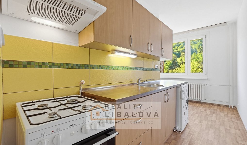 Prodej bytu 2+1 56 m², Ústí nad Labem – náhled fotky 4