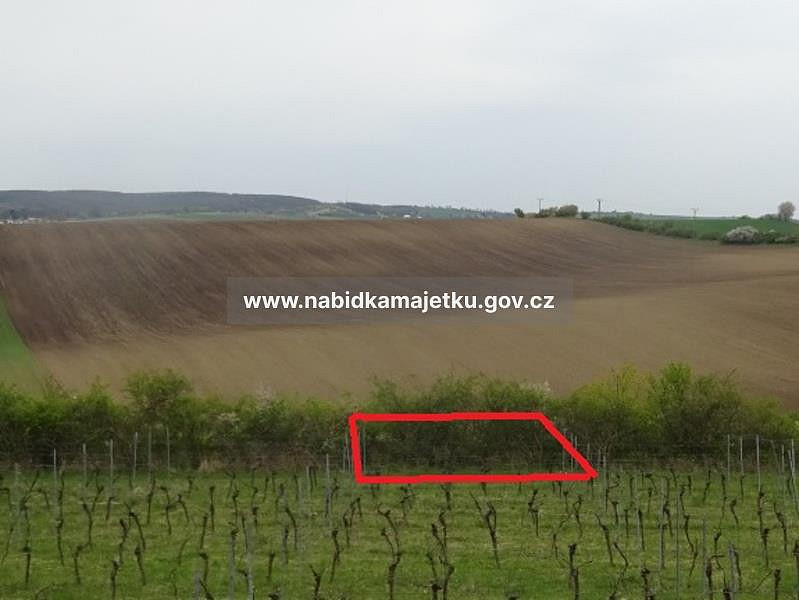 Prodej pole 918 m² – fotografie 5