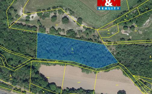 Prodej lesa 6 203 m², Lipno - Lipenec, okres Louny