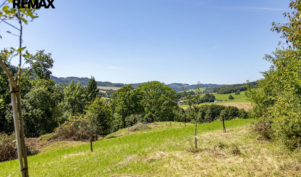 Prodej stavebního pozemku 4 479 m², Mikulůvka – náhled fotky 5